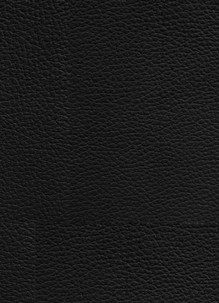 Manga: Berserk Master Edition 04 (Hardcover)