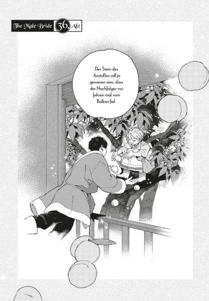 Manga: The Male Bride 8