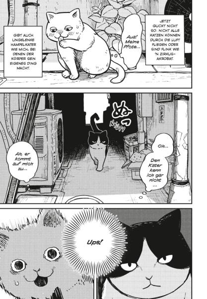 Manga: Hachi & Maruru – Streuner halten zusammen! 1