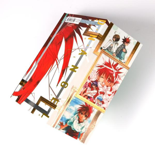 Manga: D.N. Angel Pearls 10