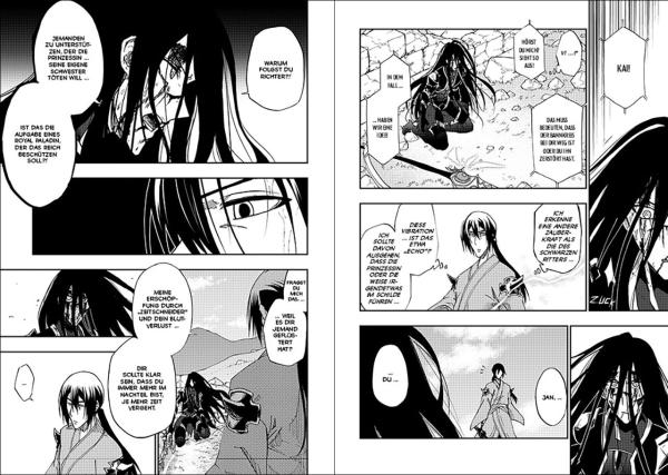 Manga: Dark Paladin 12