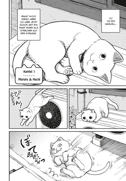 Manga: Hachi & Maruru – Streuner halten zusammen! 1