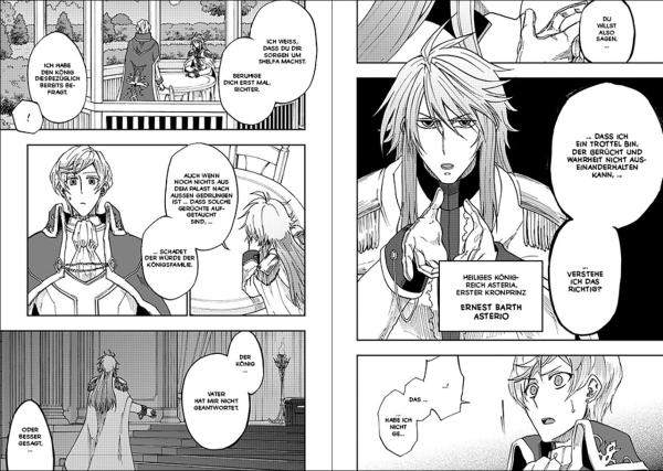 Manga: Dark Paladin 11