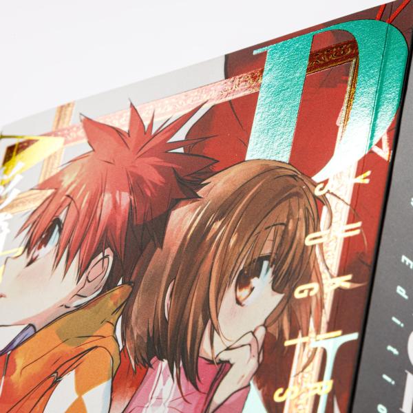 Manga: D.N. Angel Pearls 10