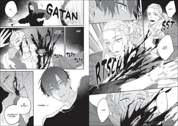 Manga: Bissspuren und Fluorit