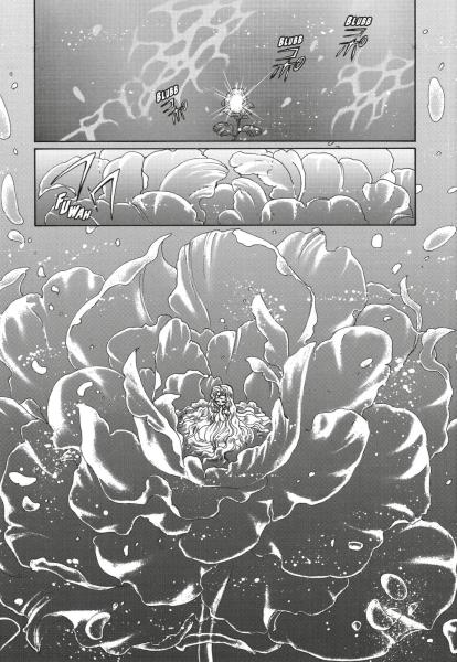 Manga: Magic Knight Rayearth Premium Collection 1