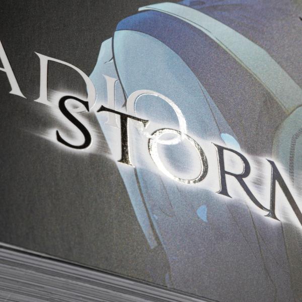 Manga: Radio Storm 1