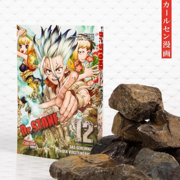 Manga: Dr. Stone 12