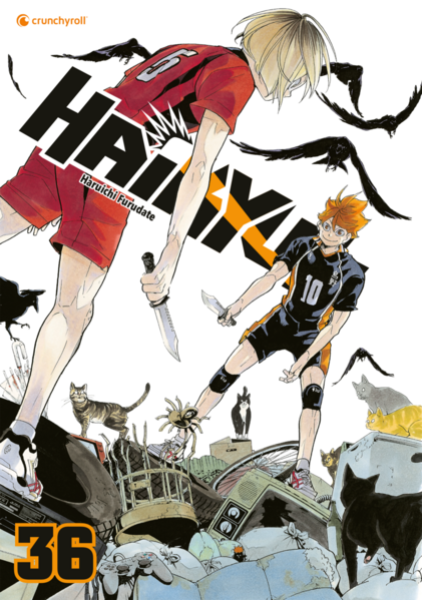 Manga: Haikyu!! – Band 36