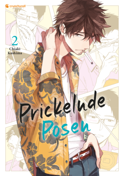 Manga: Prickelnde Posen – Band 2 (Finale)