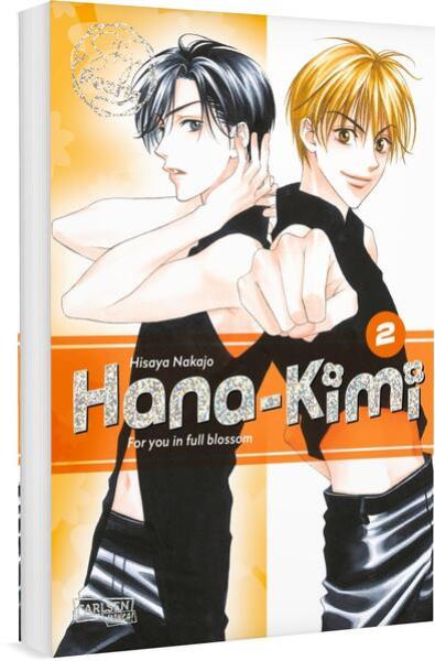 Manga: Hana-Kimi Pearls 2