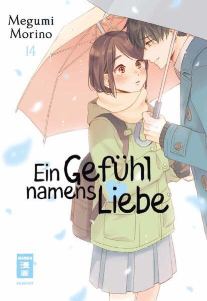 Manga: Ein Gefühl namens Liebe 14