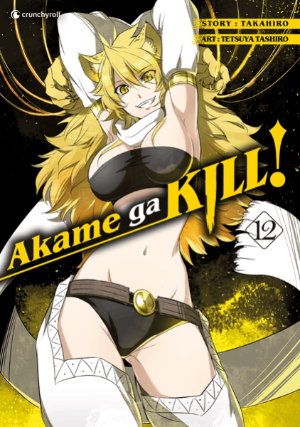Manga: Akame ga KILL! – Band 12